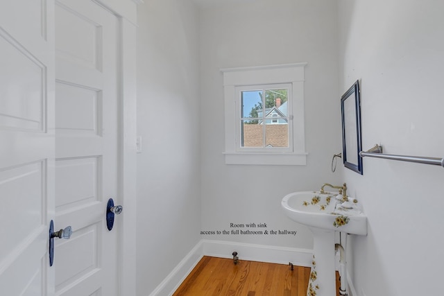 bathroom featuring wood-type flooring