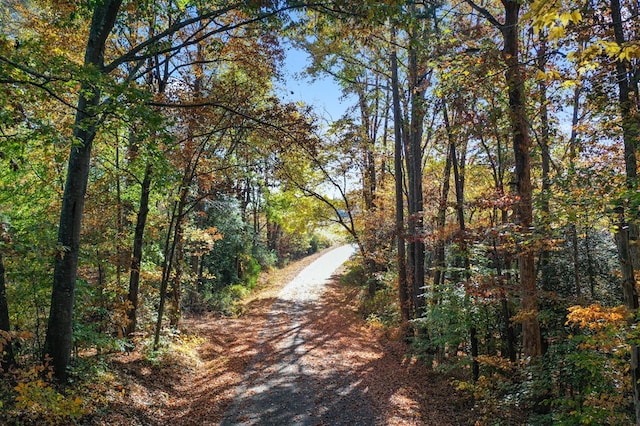 view of road