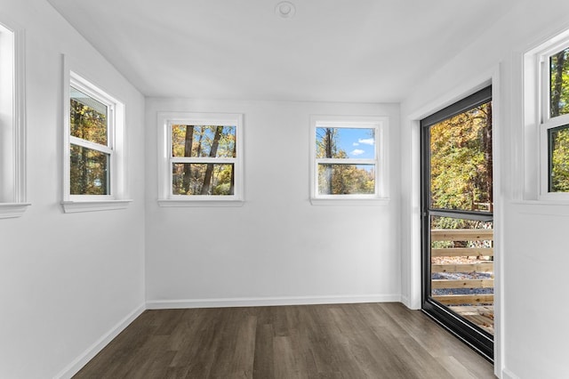 empty room featuring hardwood / wood-style flooring