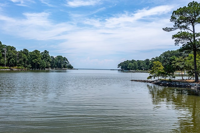 207 Pelican Way, Reedville, VA 22539 - property view of water