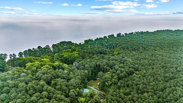 126 Pioneer Trl, Hague, VA 22469 - bird's eye view of a forest and a nearby body of water