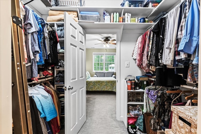 126 Pioneer Trl, Hague, VA 22469 - walk in closet with carpet flooring and a ceiling fan
