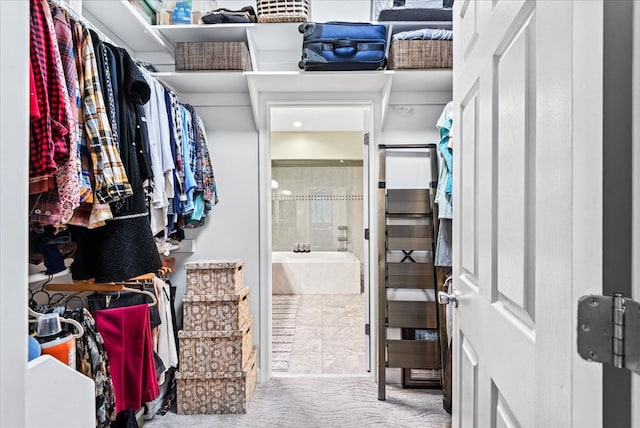 126 Pioneer Trl, Hague, VA 22469 - spacious closet with carpet flooring