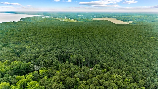126 Pioneer Trl, Hague, VA 22469 - bird's eye view of a heavily wooded area