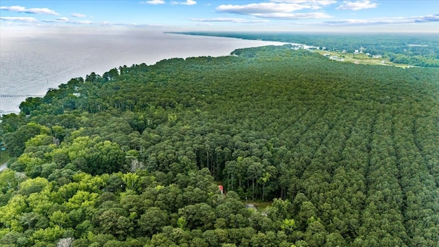 126 Pioneer Trl, Hague, VA 22469 - drone / aerial view of a heavily wooded area