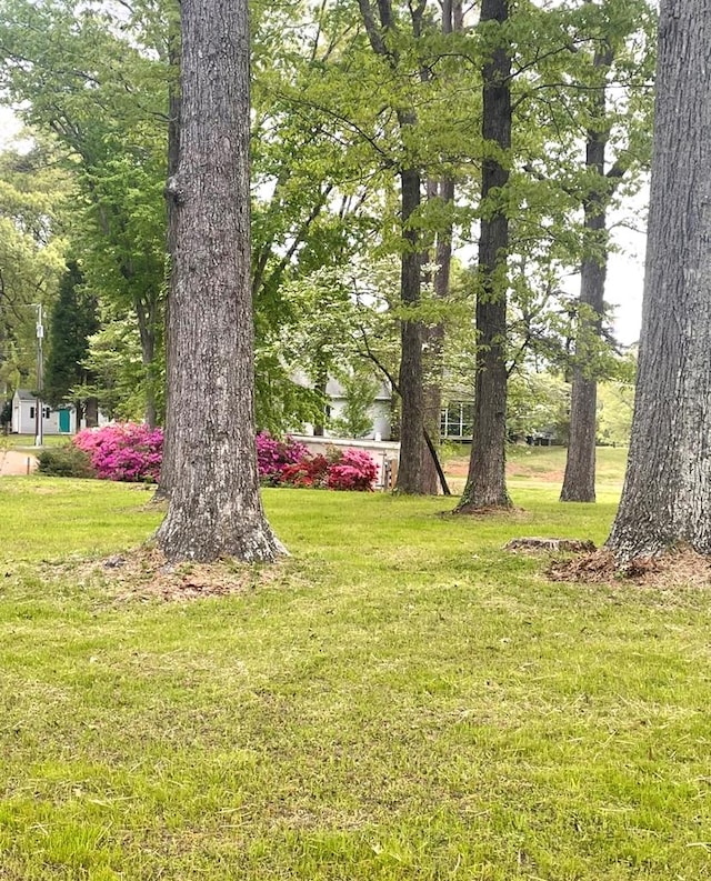 237 Hickory Ln, Reedville, VA 22539 - view of grassy yard
