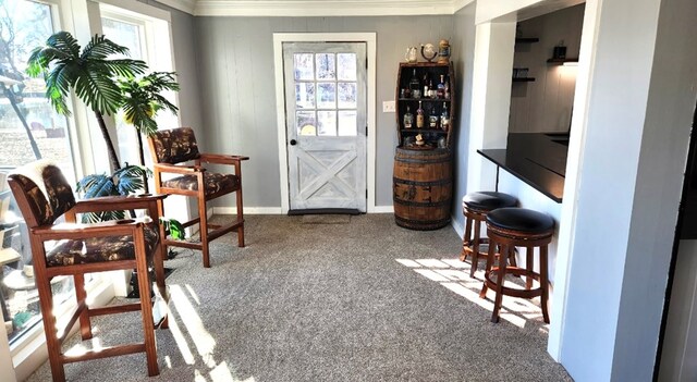237 Hickory Ln, Reedville, VA 22539 - interior space with carpet, healthy amount of natural light, and crown molding