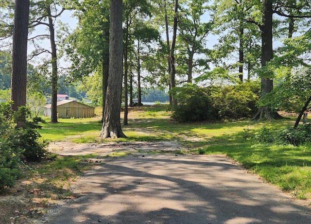 237 Hickory Ln, Reedville, VA 22539 - view of road