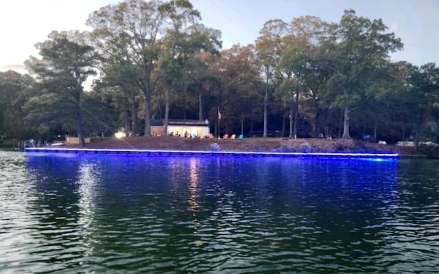237 Hickory Ln, Reedville, VA 22539 - water view