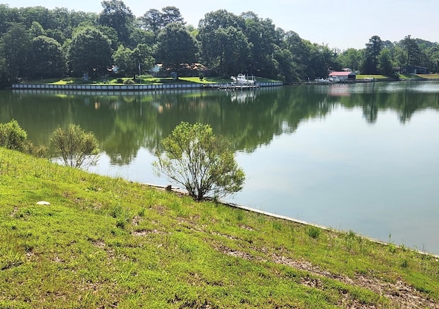 237 Hickory Ln, Reedville, VA 22539 - water view