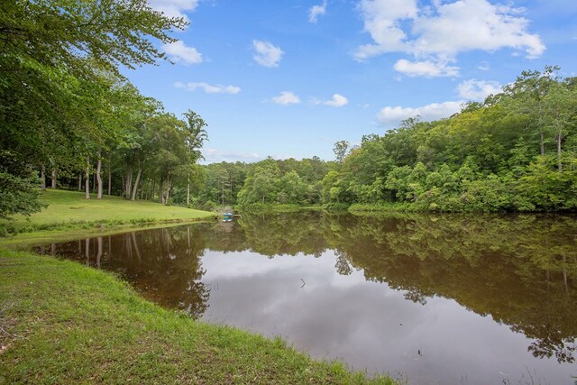 383 Monroe St, Montross, VA 22520 - water view with a forest