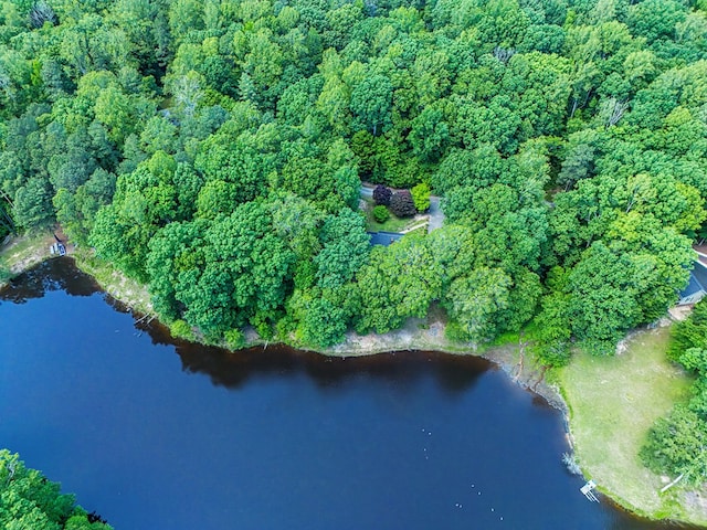 383 Monroe St, Montross, VA 22520 - aerial overview of property's location featuring a forest and a large body of water