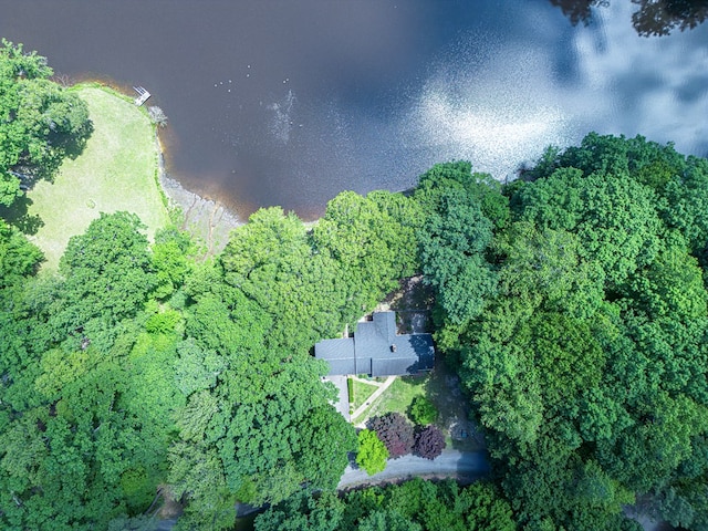 383 Monroe St, Montross, VA 22520 - aerial view of property's location