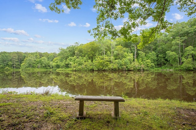 383 Monroe St, Montross, VA 22520 - water view featuring a heavily wooded area