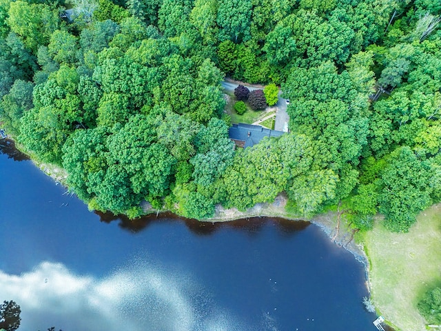383 Monroe St, Montross, VA 22520 - aerial view of property's location featuring a nearby body of water and a heavily wooded area