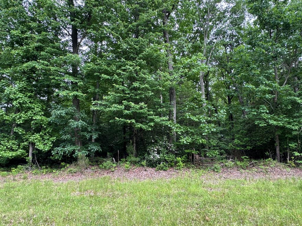 21-23 Bay Quarter Rd, Heathsville, VA 22473 - photo 1