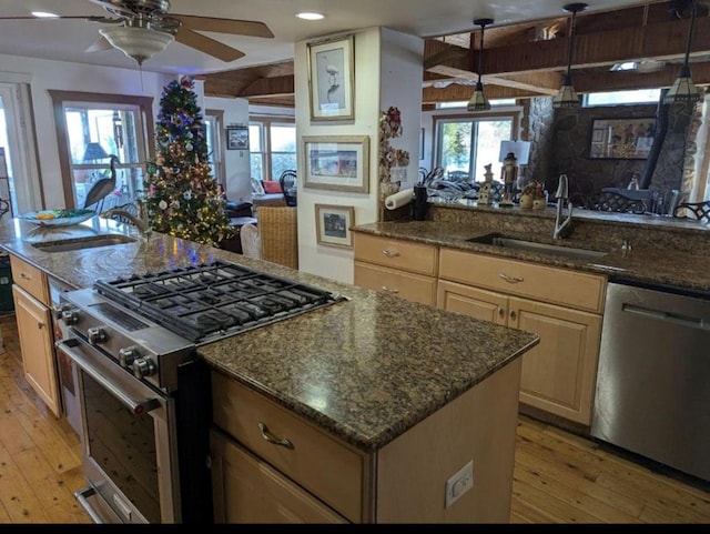 kitchen featuring appliances with stainless steel finishes, a healthy amount of sunlight, and a sink