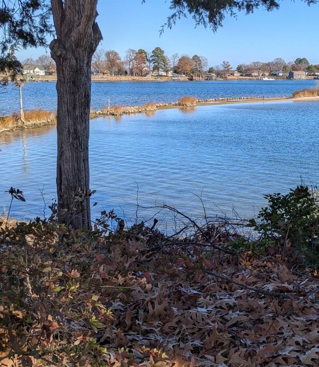 property view of water