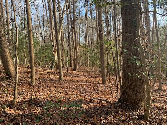 Listing photo 3 for LOT11 Northumberland Hwy, Lottsburg VA 22511