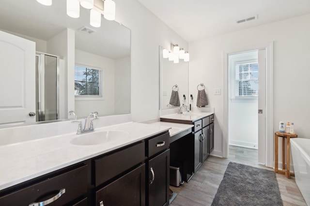 bathroom featuring vanity, hardwood / wood-style flooring, a shower with shower door, and a healthy amount of sunlight