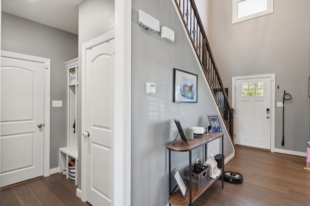 foyer featuring dark hardwood / wood-style floors and plenty of natural light