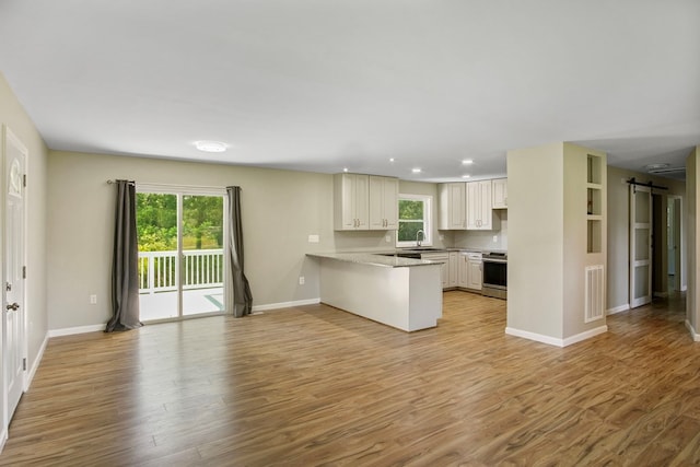 kitchen with sink, a barn door, light hardwood / wood-style flooring, kitchen peninsula, and stainless steel stove