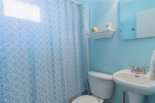 430 Pine Tree Rd, Center Cross, VA 22437 - bathroom featuring toilet and a shower with shower curtain