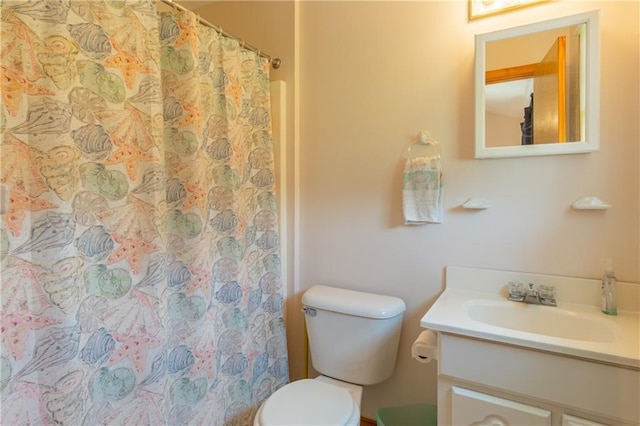 430 Pine Tree Rd, Center Cross, VA 22437 - bathroom featuring vanity and a shower with shower curtain