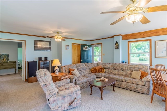 430 Pine Tree Rd, Center Cross, VA 22437 - carpeted living area featuring ceiling fan and ornamental molding