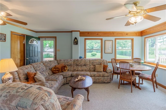 430 Pine Tree Rd, Center Cross, VA 22437 - living area with ceiling fan, light carpet, and ornamental molding