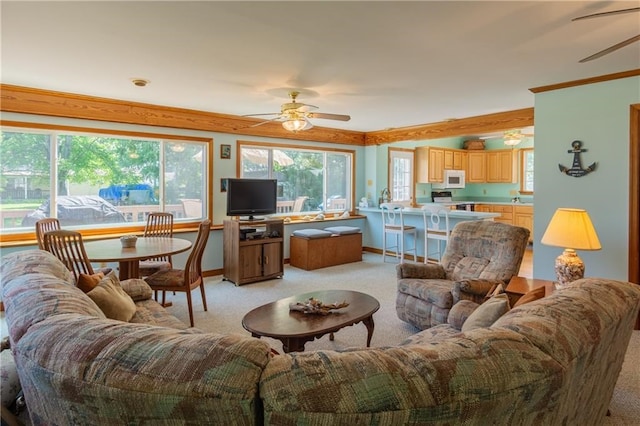 430 Pine Tree Rd, Center Cross, VA 22437 - living area with a ceiling fan and light carpet