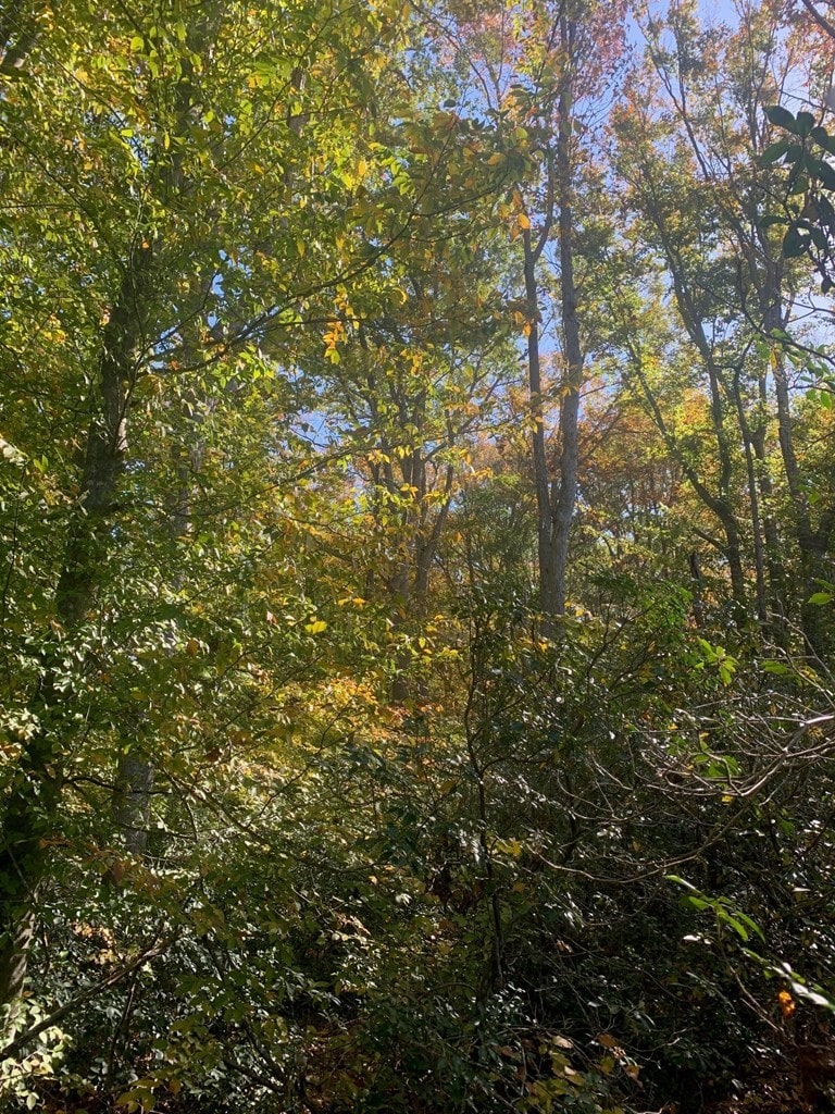 17A Burnett Ln, Heathsville, VA 22473 - photo 2