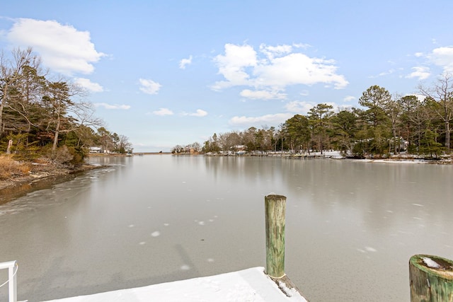 dock area with a water view