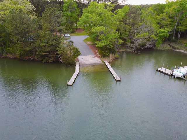drone / aerial view featuring a view of trees and a water view