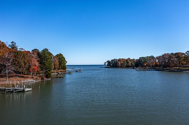 water view featuring a dock