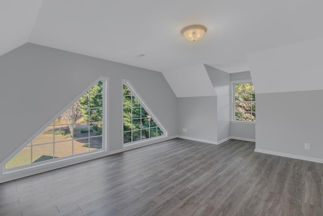 additional living space with hardwood / wood-style flooring, vaulted ceiling, and a healthy amount of sunlight