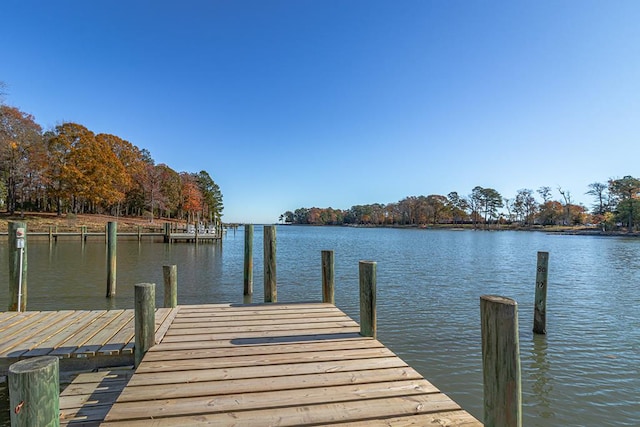 dock area featuring a water view