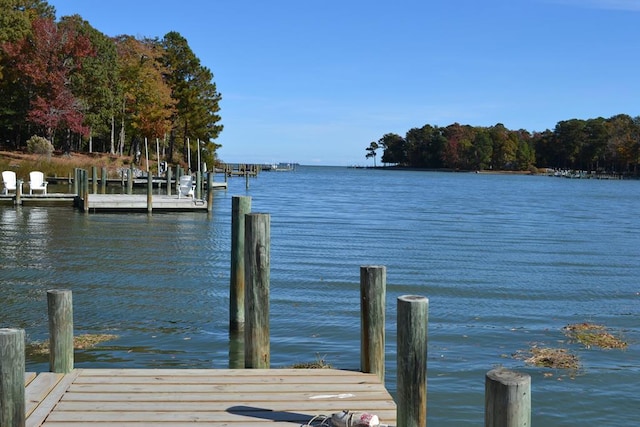 dock area with a water view