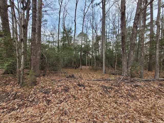 LOT33 Wildwood Rd, Colonial Beach VA, 22443 land for sale