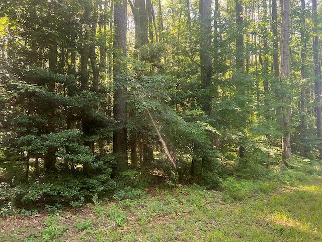 LOT125 Blackberry Rd, Reedville VA, 22539 land for sale