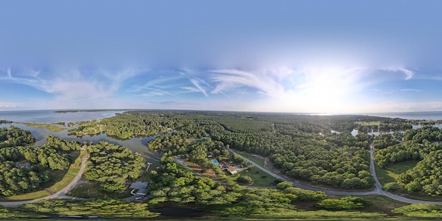 bird's eye view featuring a water view and a wooded view