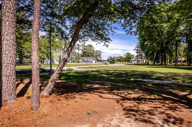 146 Portal Dr, Montross, VA 22520 - view of property's community featuring a yard