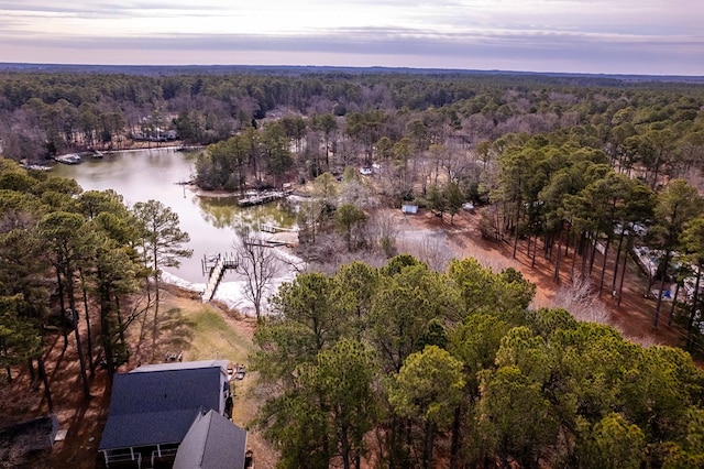 146 Portal Dr, Montross, VA 22520 - aerial view of property and surrounding area featuring a heavily wooded area and a large body of water