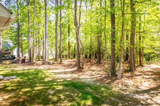 146 Portal Dr, Montross, VA 22520 - view of yard