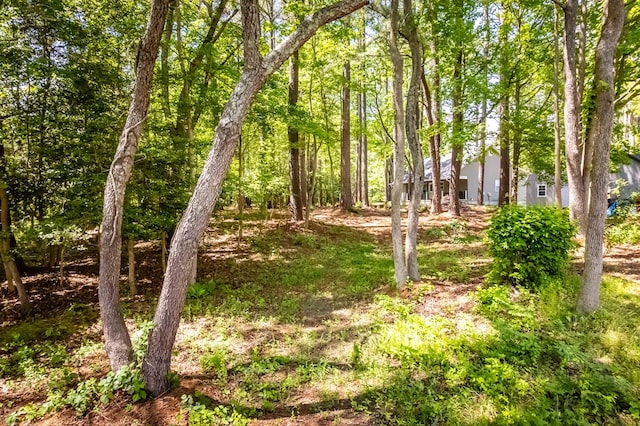146 Portal Dr, Montross, VA 22520 - view of yard