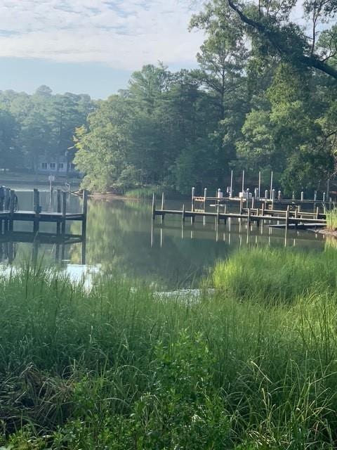 dock area with a water view