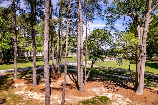 146 Portal Dr, Montross, VA 22520 - view of green lawn