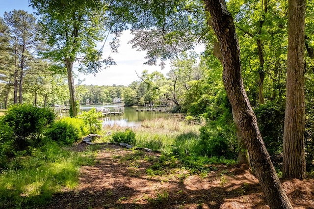 146 Portal Dr, Montross, VA 22520 - water view featuring a forest