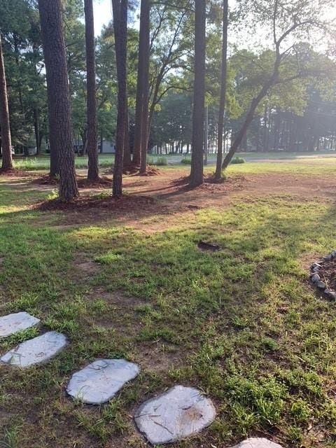146 Portal Dr, Montross, VA 22520 - view of yard