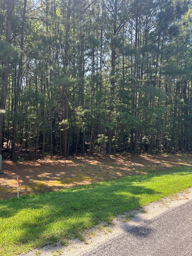 LOT7 Twin Harbor Rd, Reedville, VA 22539 - photo 4